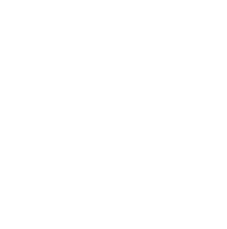 NetApp